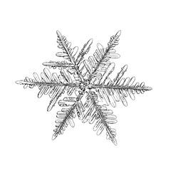Snowflake isolated on white background. Illustration based on macro photo of real snow crystal: elegant stellar dendrite with fine hexagonal symmetry, ornate shape and complex inner details.