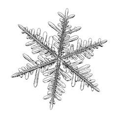 Snowflake isolated on white background. Illustration based on macro photo of real snow crystal: elegant stellar dendrite with fine hexagonal symmetry, complex inner details and six thin, ornate arms.