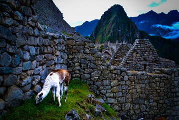 Lost city of the Incas