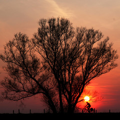 sunset bike riding