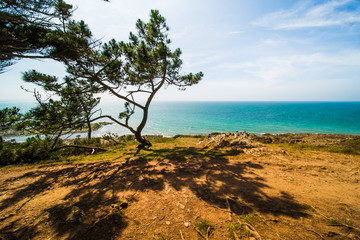 Atlantic Ocean Coastline with Turquoise Blue Water and Pine Trees on a Sunny Summer Day in Brittany France