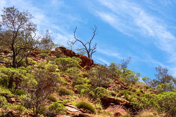 Kings Canyon, Northern Territory, Watarrka National Park, Australia