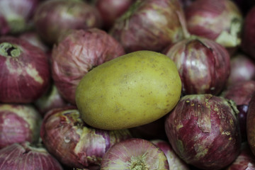 potato in the middle of onions
