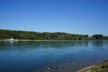 Rhein bei Neuburgweier