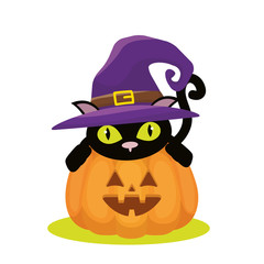 Halloween cat and pumpkin vector design