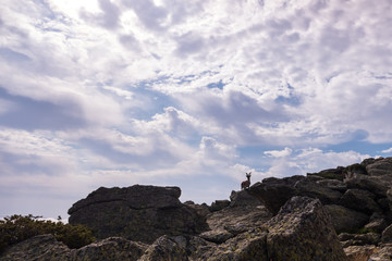 Goat silhouette, ibex pyrenaica, on top of a rocky cliff.