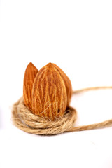 Almond. Almond nuts, close-up isolated on a white background