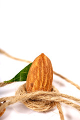 Almond. Almond nuts, close-up isolated on a white background