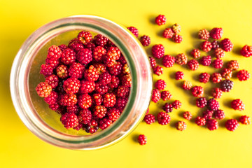bowl with many red mulberry