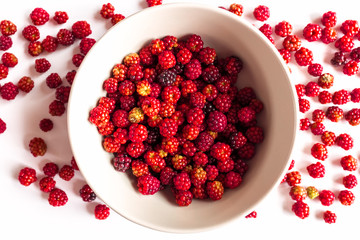 bowl with many red mulberry