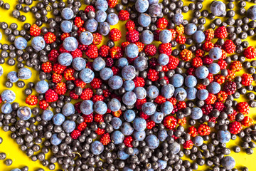 Fruits of the forest: blackthorn, red mulberry and dogwood fruits on yellow background