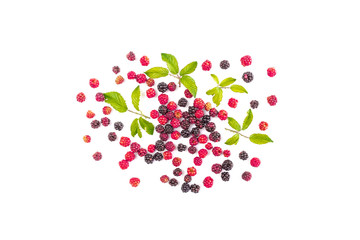 many red mulberry on white background with green leaves