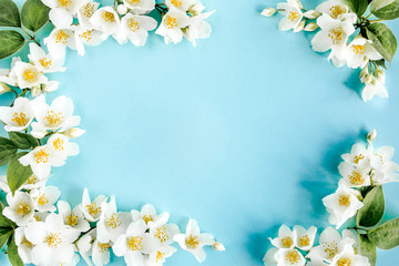 Fototapeta na wymiar Frame of jasmine flowers, petals, leaves on blue background. Flat lay, top view 