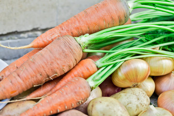 Carrots and onions on a wooden table.
