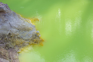 The Devil's Bath at Wai-O-Tapu geothermal area