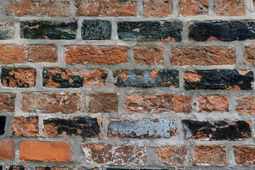 Ziegelwand mit normalen udn glasierten gr&uuml;nen Ziegeln verfallend