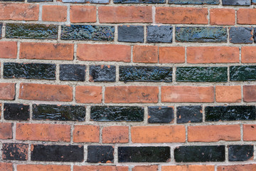 Ziegelwand mit normalen udn glasierten grünen Ziegeln 