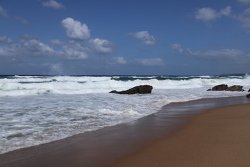 beach in winter