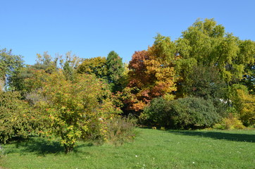 Landscape from a garden with different trees with green, yellow, orange and brown leaves during a sunny autumn day