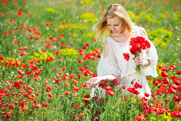 Cute woman wearing  white dress picking  poppy  flowers  in fields