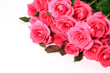 Beautiful rose flowers bunch isolated on white background