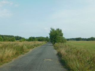 Fototapeta na wymiar Small road in the landscape