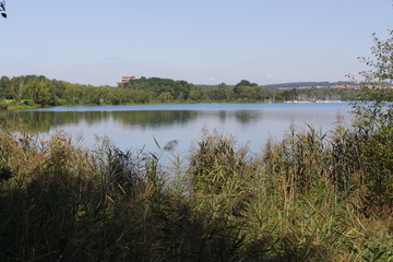 steinberg am see OPF