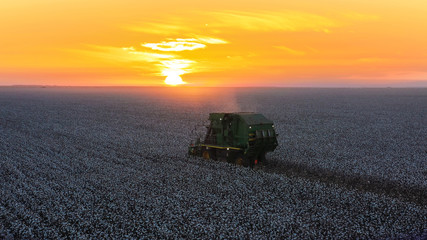 Cotton Harvest with Sunset Machines