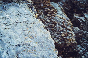 The texture of the stone and lichen on it. Stone faults