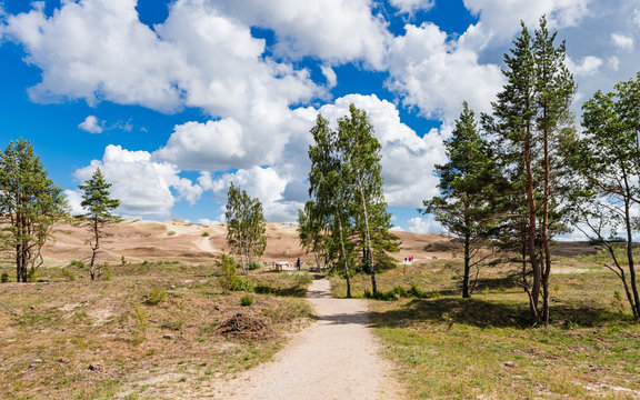 Nagliai nature reserve near Nidden; Curonian Spit; Lithuania