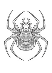 Vector Halloween doodle coloring book page spider