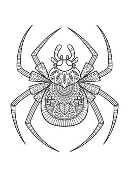 Vector Halloween doodle coloring book page spider
