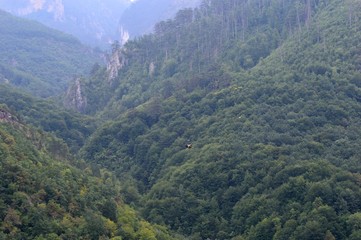 Naklejka premium mountain landscape in the forest