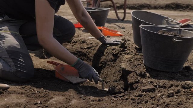 Archaeologist digging and collecting the earth. the work of archaeologists