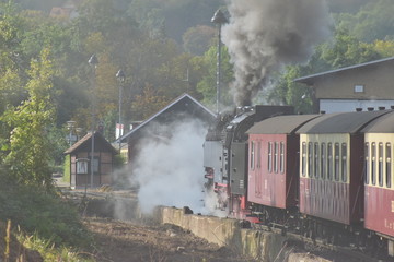 Fototapeta na wymiar historical steam locomotive in Germany