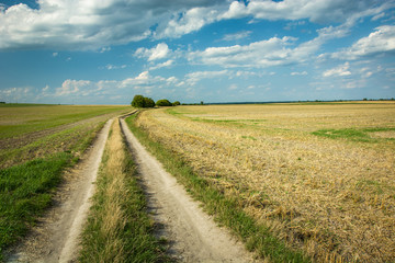Dirt road through farmland, white clouds on a blue sky