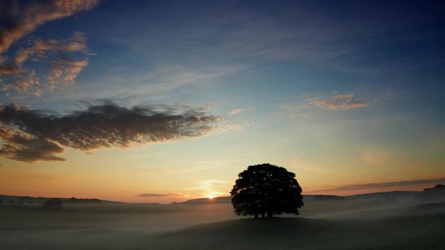 Sunrise over a tree near the Yorkshire Dales village of Eshton a small village and civil parish in the Craven district of North Yorkshire, England. At the 2011 Census the population was less than 100 
