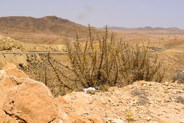 Fototapeta na wymiar View of the road in the desert mountains from behind a bush with thorns, Tunisia