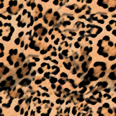 Leopard skin print pattern  colored design