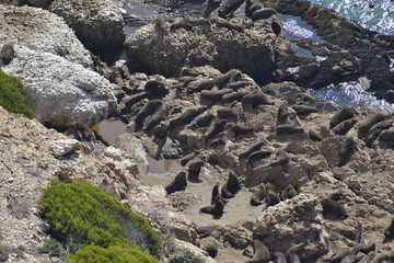 FOCHE, COSTA ATLANTICA, SUDAFRICA