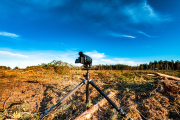 Video camera mounted on tripod films the a forest after clear cut of pine tree forest in Northern Sweden. Very sunny summer day, no trees left - just en empty field