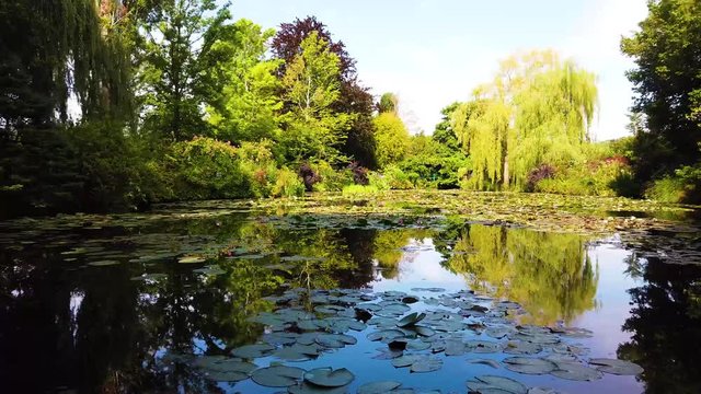 Pond with lilies in Giverny
