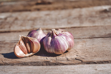 Beautiful big garlic on a wooden Board.Close up.Photo.