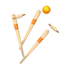 Flying wicket and ball flat vector illustration