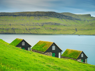 three houses with grass roof behind the hill on Faroe island Big size
