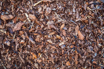 texture of brown mulch and wood shavings
