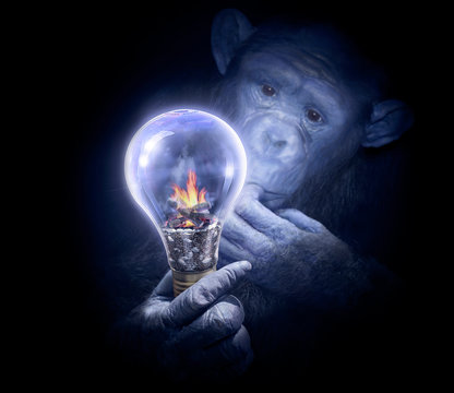 Pensive monkey observing a light bulb. Smart chimpanzee with intrigued look. Invention or solution search concept. Intelligent chimpanzee surching a solution. R&D or chalenge concept