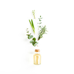 Essential oil and mix of herbs, green branches, leaves eucalyptus, aloe Vera, rosemary, thyme on white background. Set of medicinal herbs. Flat lay. Top view.