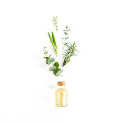 Essential oil and mix of herbs, green branches, leaves eucalyptus, aloe Vera, rosemary, thyme on...
