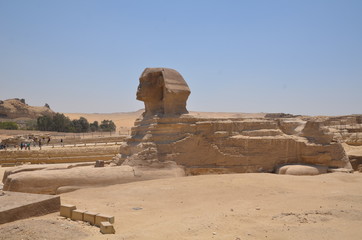 LE SPHINX 2500 AV.J.C PLATEAU DE GUYZEH LE CAIRE EGYPTE